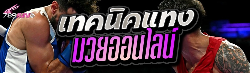 เทคนิคแทงมวยออนไลน์  