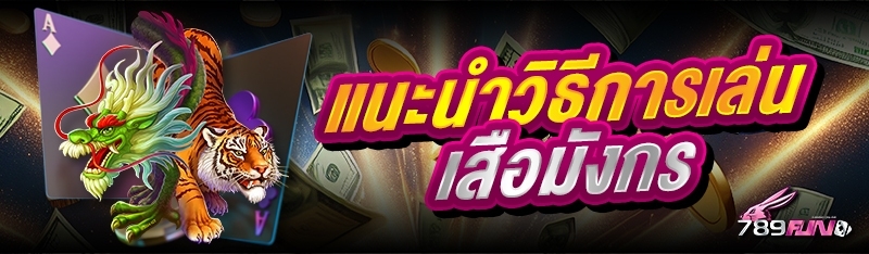 แนะนำวิธีการเล่นเสือมังกร